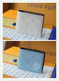 Picture of Louis Vuitton Wallets _SKUfw220045017fw